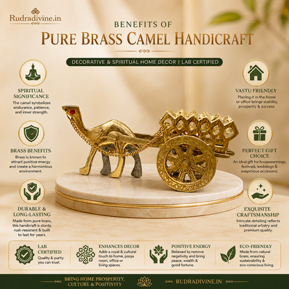 Pure Brass Camel Handicraft decorative brass camel statue with official Lab Certificate by Rudradivine for home décor, office decoration, Vastu and Feng Shui prosperity.