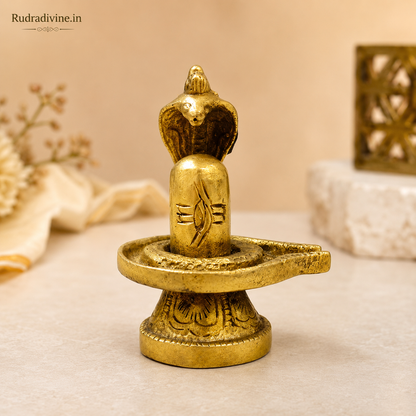 Rare Brass Shivling with Sheshnaag crafted from premium brass with official Lab Certificate by Rudradivine for home temple, Shiva puja and spiritual worship.