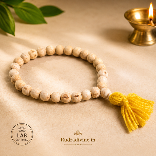 Tulsi Mala 27+1 Beads crafted with natural 8MM Tulsi wood beads and official Lab Certificate by Rudradivine for prayer, meditation and daily spiritual devotion.
