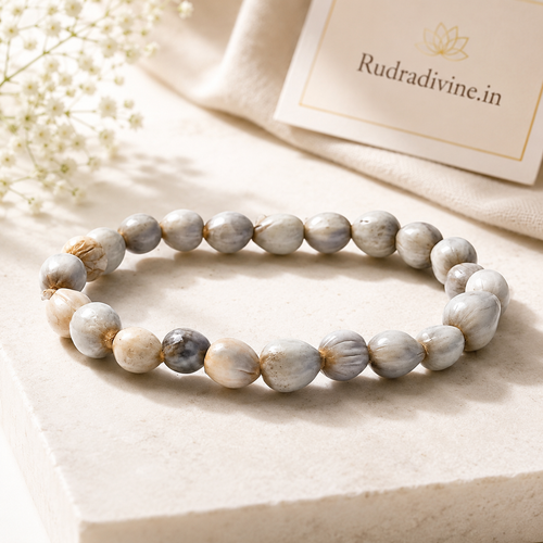 Vaijanti Bracelet crafted with natural Vaijanti (Vaijayanti) beads and official Lab Certificate by Rudradivine for prosperity, devotion, peace, spiritual growth, and divine blessings.