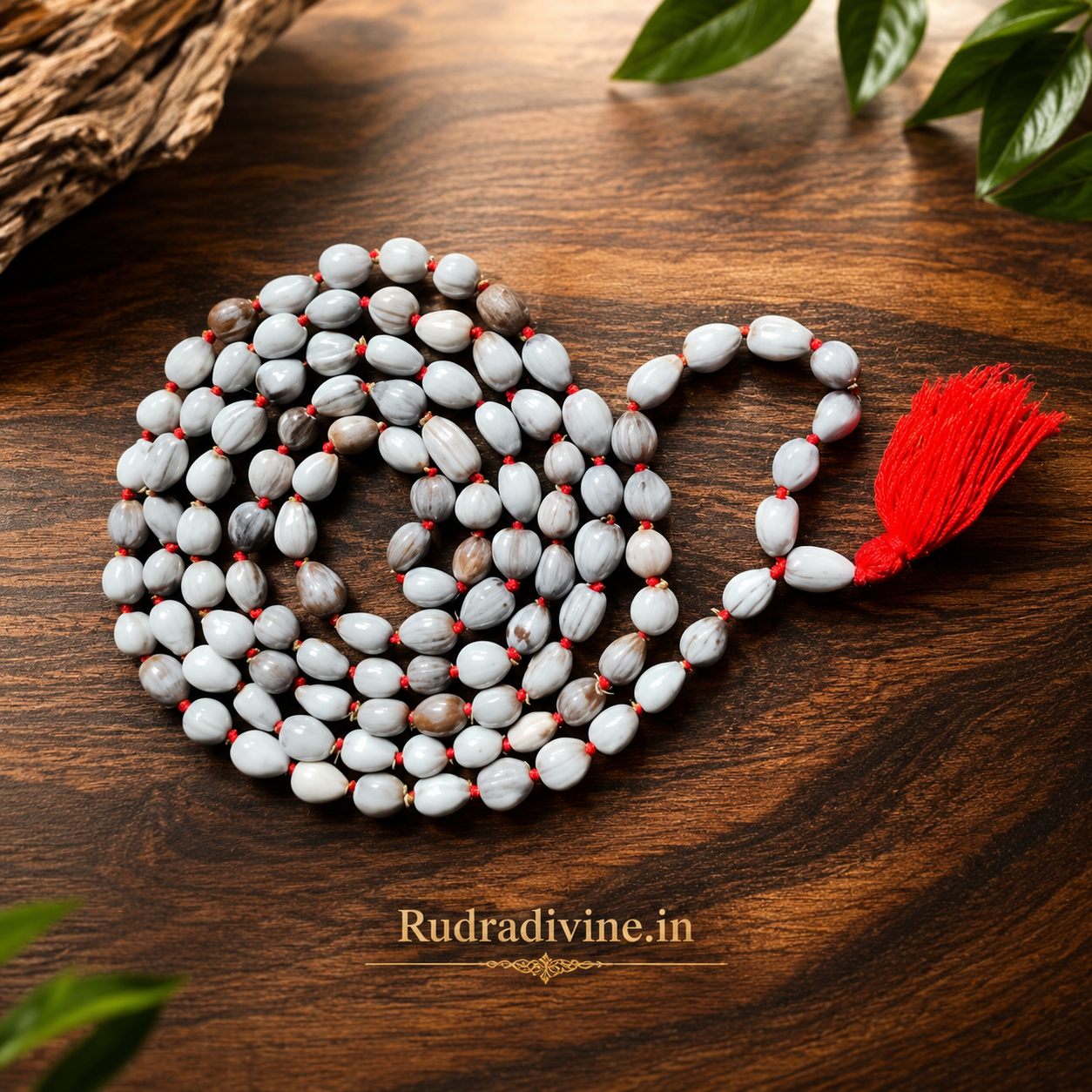 Vaijanti Mala 108+1 Beads 8MM crafted from natural Vaijanti seeds with official Lab Certificate by Rudradivine for devotion, meditation, and spiritual blessings.