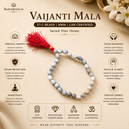 Vaijanti Mala 27+1 Beads 8MM crafted from natural Vaijanti seeds with official Lab Certificate by Rudradivine for devotion, meditation, and spiritual blessings.