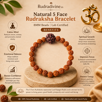 Natural 5 Face Rudraksha Bracelet with natural 8MM Panchmukhi Rudraksha beads and official Lab Certificate by Rudradivine for spiritual and daily wear.