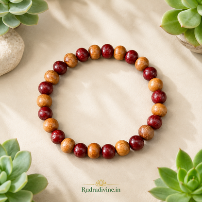 Natural White & Red Sandalwood Bracelet 8MM beads with official Lab Certificate by Rudradivine, designed for meditation, prayer, puja and traditional spiritual wear.