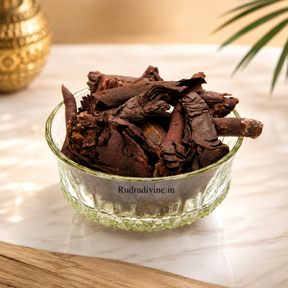 Ratanjot Root Alkanet Root by Rudradivine, natural dried botanical root traditionally used for natural dyeing, colouring, crafts, and herbal preparations.