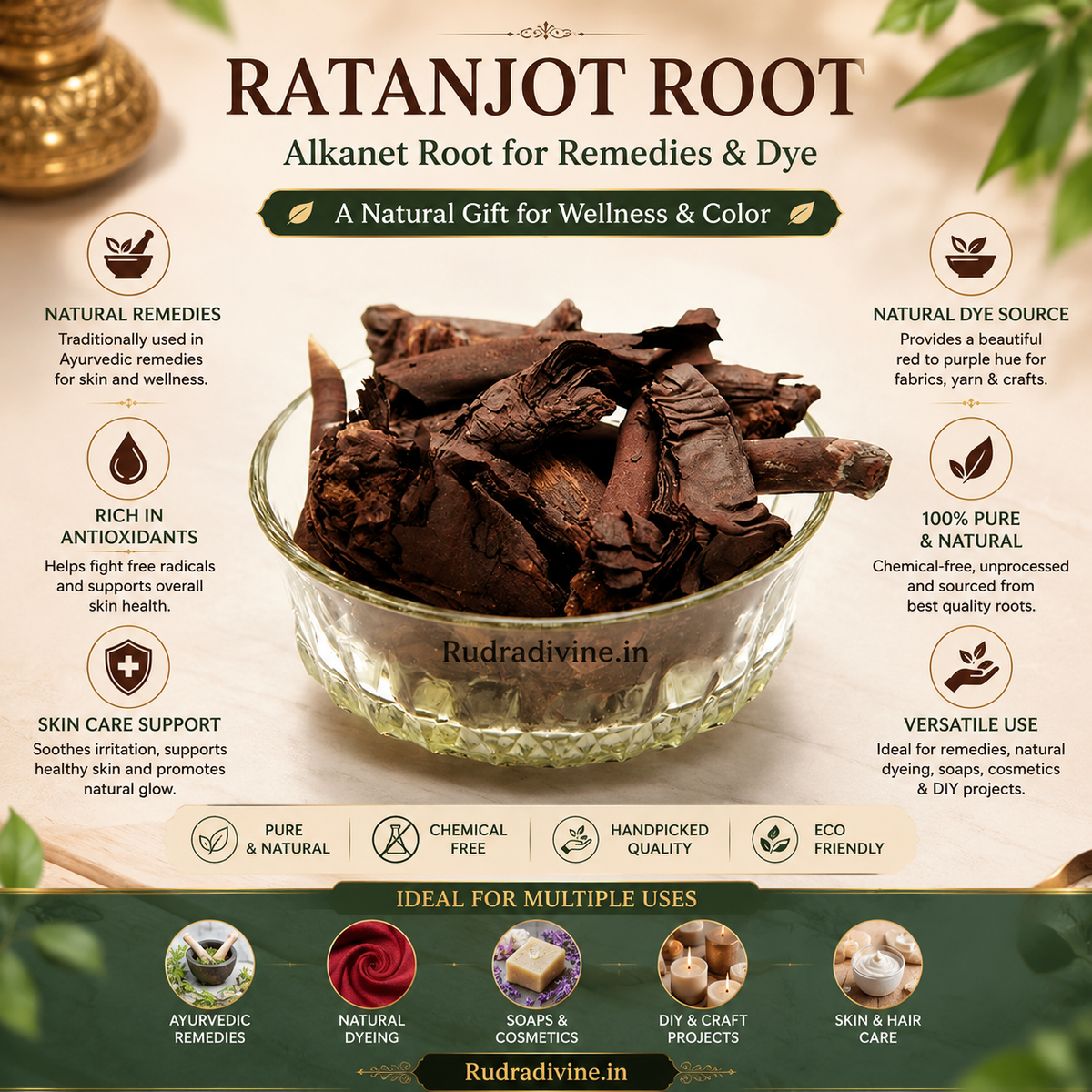 Ratanjot Root Alkanet Root by Rudradivine, natural dried botanical root traditionally used for natural dyeing, colouring, crafts, and herbal preparations.