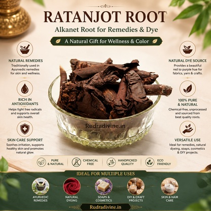 Ratanjot Root Alkanet Root by Rudradivine, natural dried botanical root traditionally used for natural dyeing, colouring, crafts, and herbal preparations.