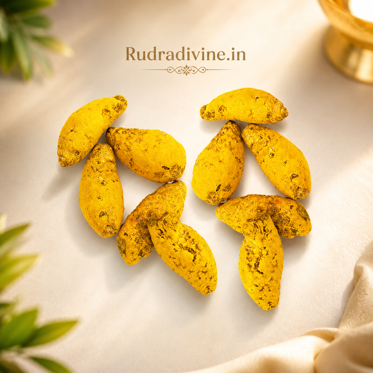 Sabut Haldi Peeli Haldi Yellow Turmeric Set of 10 by Rudradivine for Puja, Hindu rituals, devotional offerings, traditional remedies, and spiritual practices.