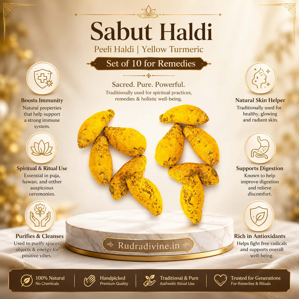 Sabut Haldi Peeli Haldi Yellow Turmeric Set of 10 by Rudradivine for Puja, Hindu rituals, devotional offerings, traditional remedies, and spiritual practices.