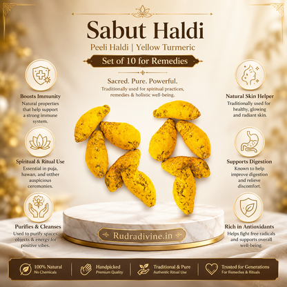 Sabut Haldi Peeli Haldi Yellow Turmeric Set of 10 by Rudradivine for Puja, Hindu rituals, devotional offerings, traditional remedies, and spiritual practices.